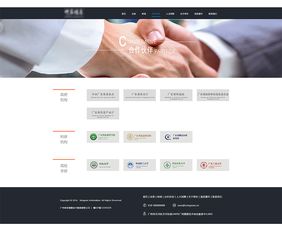 連接未來 互聯網信息技術公司的價值與使命